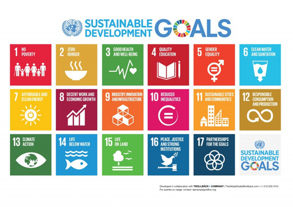 The 17th Sustainable Development Goal could help us achieve the other 16