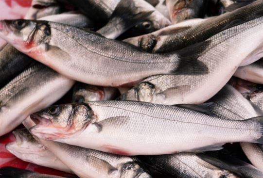 Prodotti ittici trasformati in Asia per l’industria alimentare sono ormai di grande qualità .