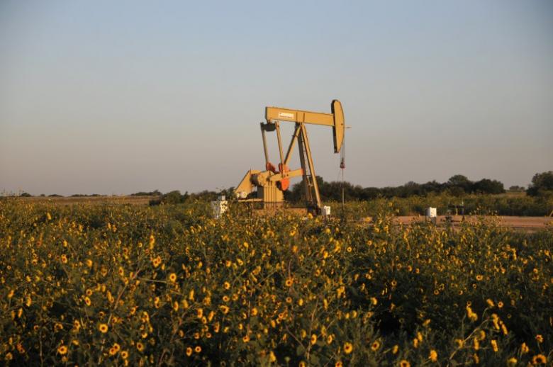Oil falls as investors cut bullish bets on worries over U.S. output Oil falls as investors cut bullish bets on worries over U.S. output