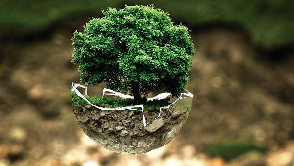 Agricoltura sostenibile: a Pantelleria uva e capperi coltivati con la tecnica dell’aridocoltura Agricoltura sostenibile: a Pantelleria uva e capperi coltivati con la tecnica dell’aridocoltura