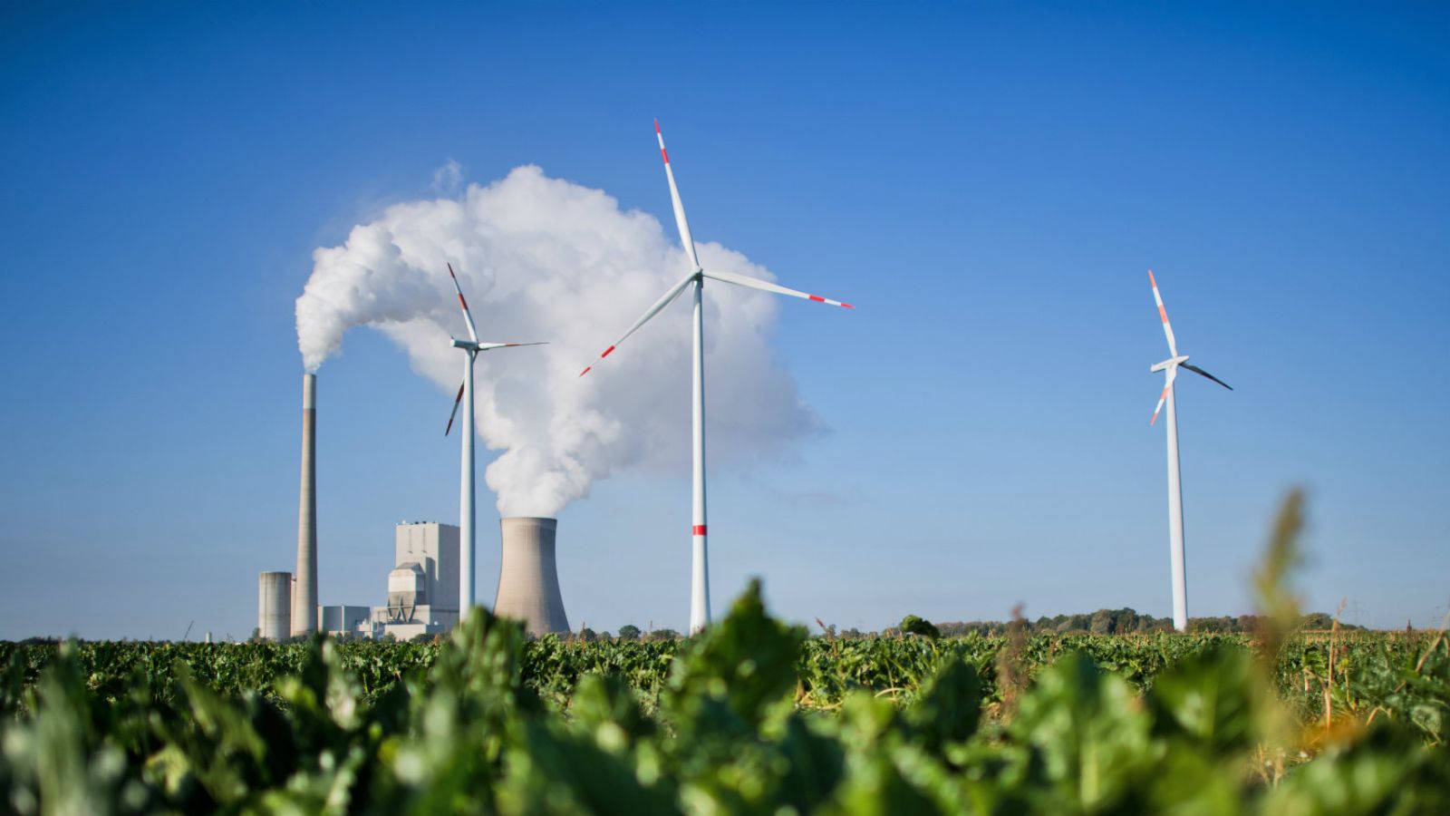 A Chinese company is offering free training for US coal miners to become wind farmers