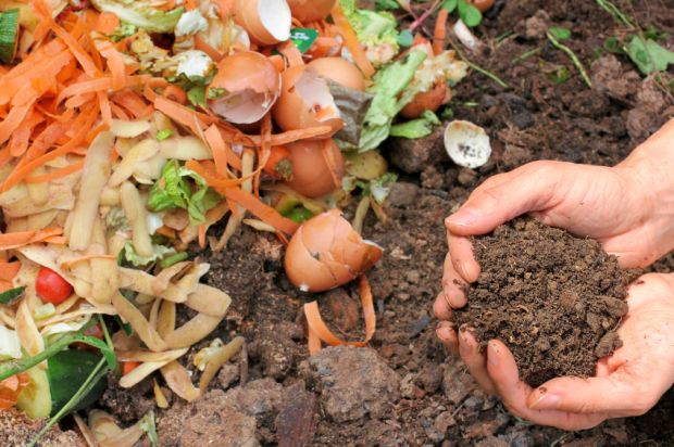 Progetto CUSP, quando il compost è a km0 Progetto CUSP, quando il compost è a km0