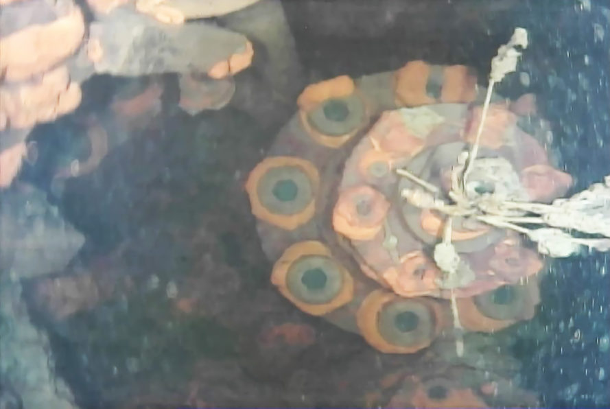 Fukushima robot finds lava-like deposits thought to be melted nuclear fuel Fukushima robot finds lava-like deposits thought to be melted nuclear fuel