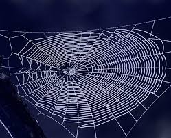 Artificial spider silk designed in new green method