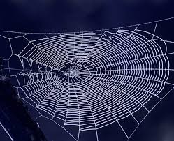 Artificial spider silk designed in new green method Artificial spider silk designed in new green method