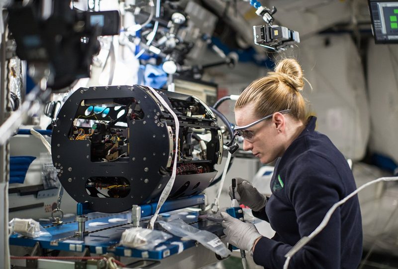 BIOTECH, FRIGHI MOBILI E PERMACULTURA: L’INNOVAZIONE ITALIANA È FEMMINA BIOTECH, FRIGHI MOBILI E PERMACULTURA: L’INNOVAZIONE ITALIANA È FEMMINA