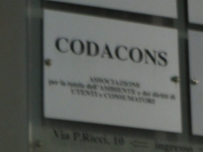 Energia. Codacons: è caos su web e whatsapp Energia. Codacons: è caos su web e whatsapp