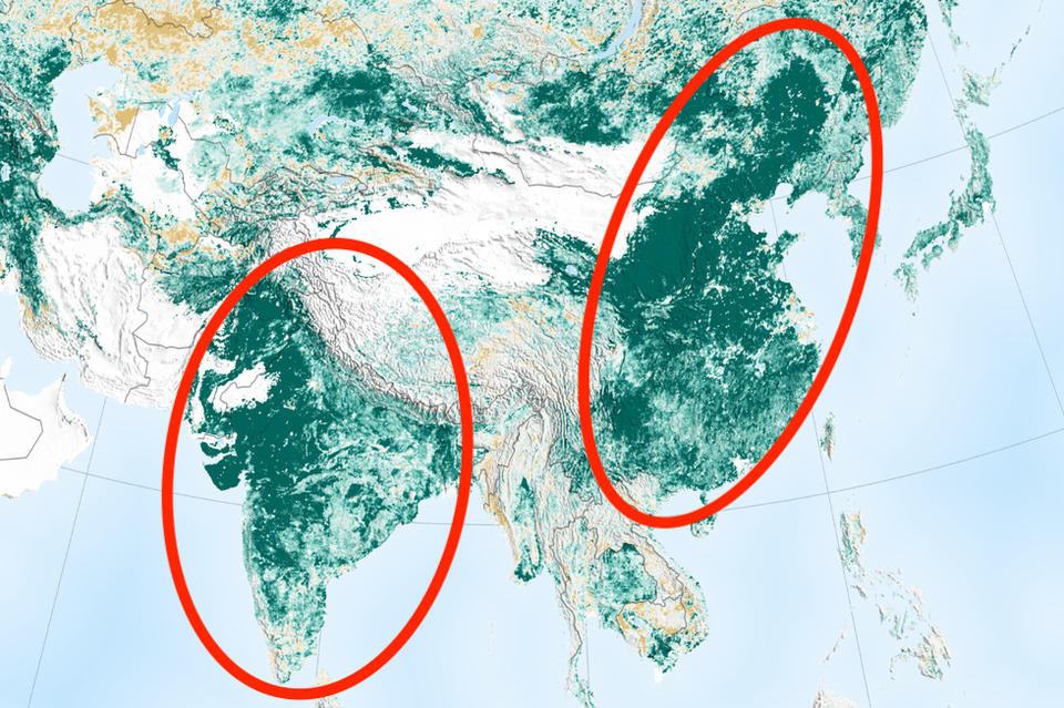 NASA Says Earth Is Greener Today Than 20 Years Ago Thanks To China, India NASA Says Earth Is Greener Today Than 20 Years Ago Thanks To China, India