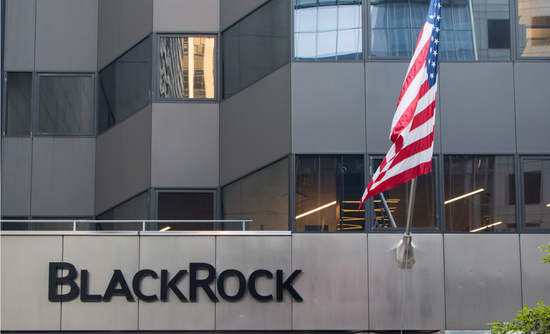 BlackRock’s BS … and other stories of sustainable finance
