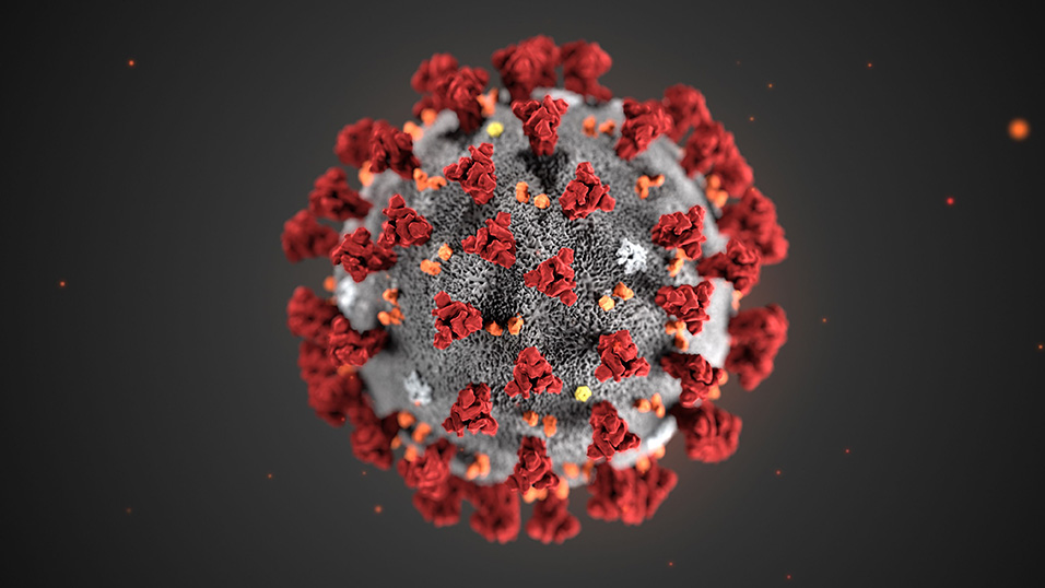 Coronavirus, c’è un primo guarito con farmaco sperimentale: è il Remdesivir Coronavirus, c’è un primo guarito con farmaco sperimentale: è il Remdesivir