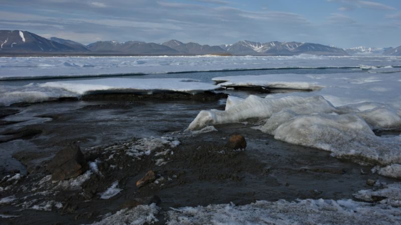 Greenland island is world’s northernmost island – scientists