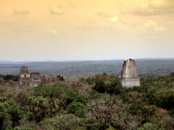 La antigua ciudad maya de Tikal que aún oculta secretos: descubren un barrio perdido