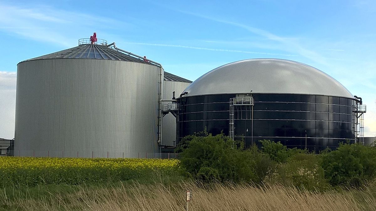Energia, parte la corsa del biogas