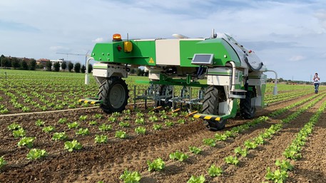 Arriva “Dino”, bio-robot che pulisce i terreni senza chimica Arriva “Dino”, bio-robot che pulisce i terreni senza chimica