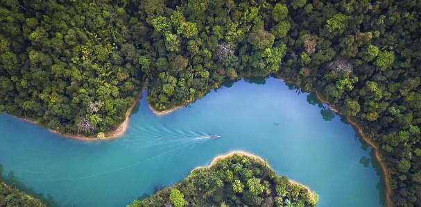 Capturar y reutilizar CO₂: otro modo de frenar el cambio climático Capturar y reutilizar CO₂: otro modo de frenar el cambio climático