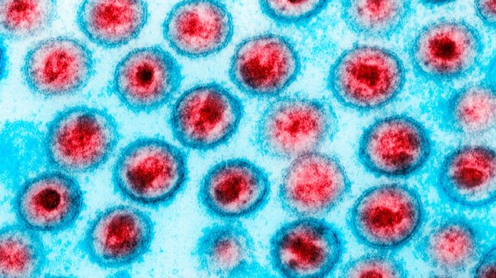 Prima sperimentazione per eliminare l’ Hiv con l’ editing genetico Prima sperimentazione per eliminare l’ Hiv con l’ editing genetico