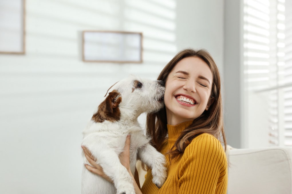 Uno studio rivela che la voce di un padrone per un cane è come quella della madre con il suo bambino Uno studio rivela che la voce di un padrone per un cane è come quella della madre con il suo bambino
