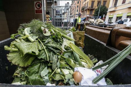 Giornata alimentazione: in Italia si buttano 400kg di cibo