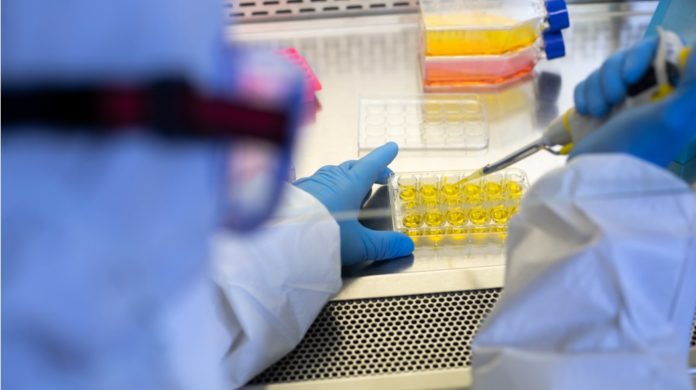 Farmaco antivirale sperimentato dall’ azienda Merck & Co. Farmaco antivirale sperimentato dall’ azienda Merck & Co.