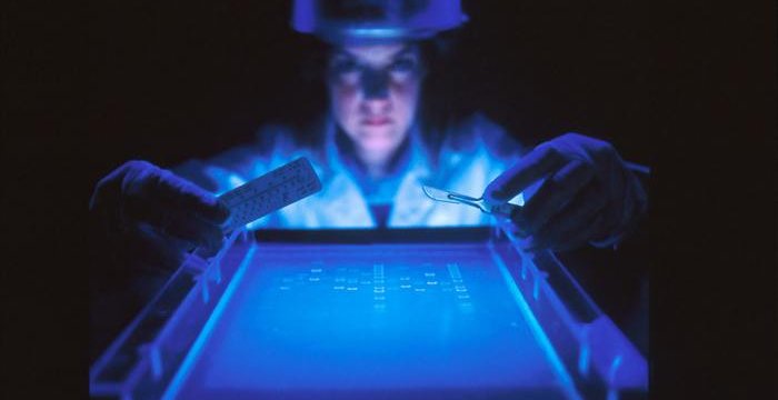 Salute 2025: l’obiettivo è invecchiare bene