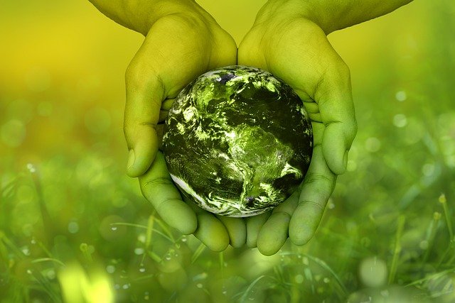 PNRR, transizione green e opportunità per le piccole imprese i risultati di una ricerca della Confartigianto PNRR, transizione green e opportunità per le piccole imprese i risultati di una ricerca della Confartigianto