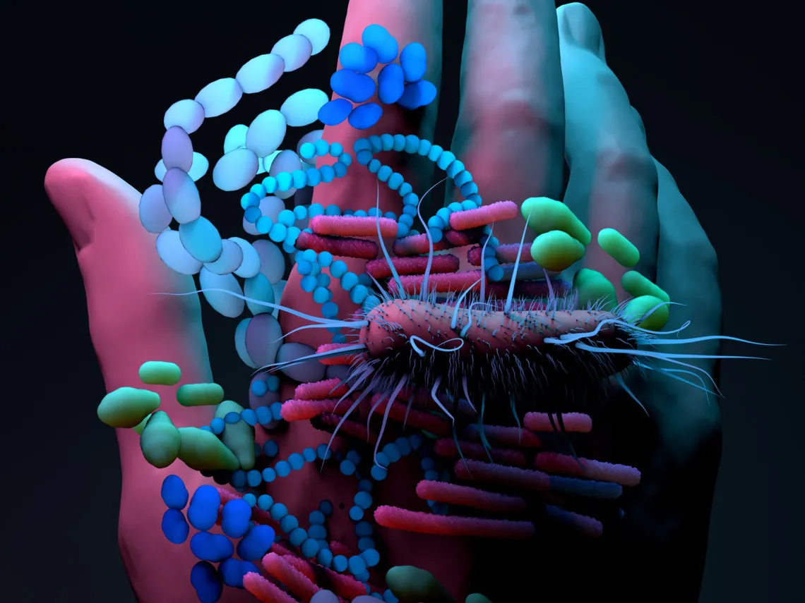Hallan docenas de nuevos antibióticos naturales dentro del cuerpo humano Hallan docenas de nuevos antibióticos naturales dentro del cuerpo humano