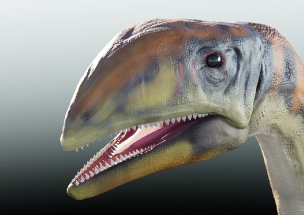‘Osso freddo’, il primo dinosauro della Groenlandia