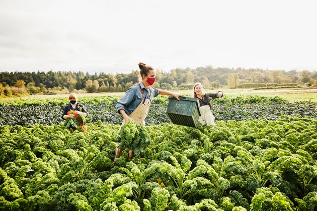 Con la Pac, un’agricoltura più sostenibile per l’Italia e l’Europa