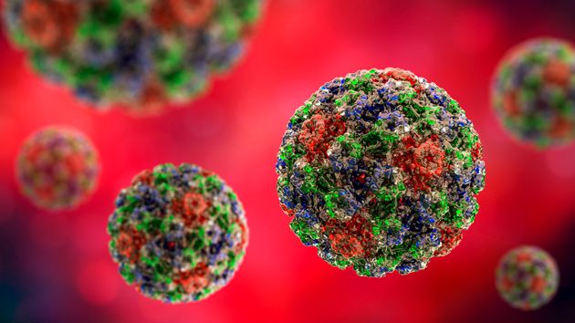 Studio Uk: vaccino anti-papillomavirus riduce il cancro alla cervice di quasi il 90% Studio Uk: vaccino anti-papillomavirus riduce il cancro alla cervice di quasi il 90%