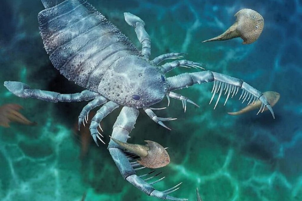 Il terrificante scorpione di mare: era grande come un cane