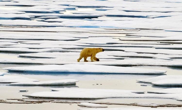 Artico: Onu conferma temperatura record di 38 gradi Artico: Onu conferma temperatura record di 38 gradi