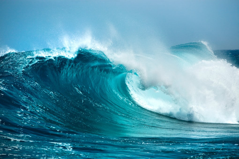Il ciclo del mare Il ciclo del mare