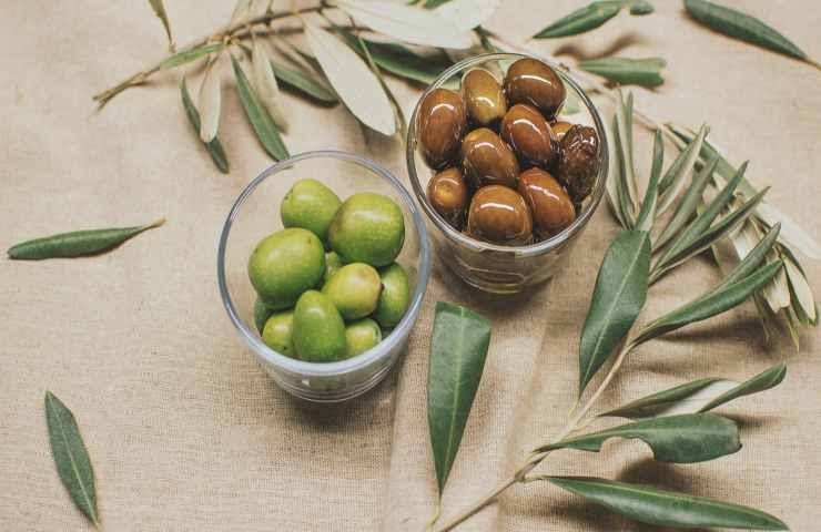 Bioplastica da noccioli delle olive, la svolta green senza precedenti