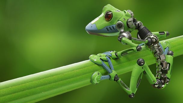Crean los primeros robots vivos que se reproducen de manera espontánea Crean los primeros robots vivos que se reproducen de manera espontánea