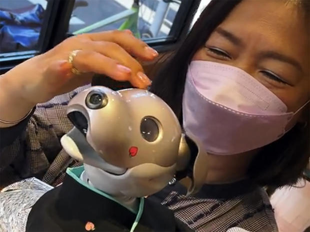Robo-dogs and therapy bots: Artificial intelligence goes cuddly