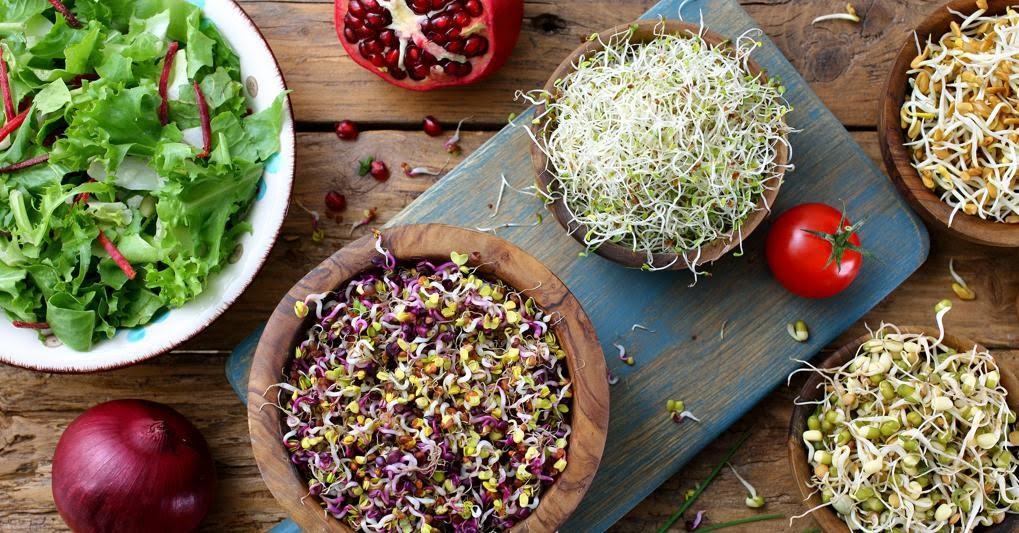 Osservatorio Enpaia-Censis: alle famiglie il cibo piace sano, locale e sostenibile Osservatorio Enpaia-Censis: alle famiglie il cibo piace sano, locale e sostenibile