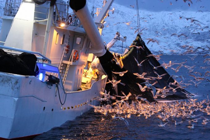 Ocean grabbing: ecco le cause e le conseguenze del saccheggio dei mari