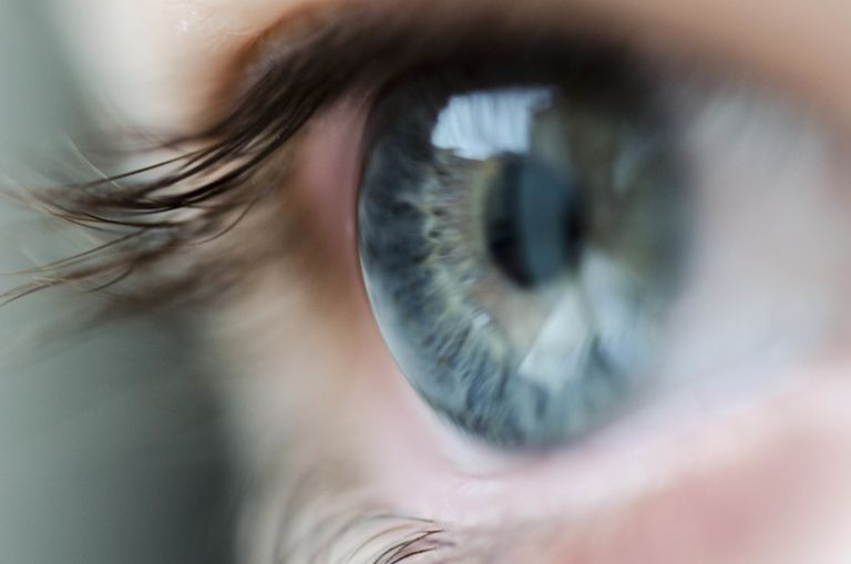 Gli umani hanno il sesto senso: ecco come attivarlo Gli umani hanno il sesto senso: ecco come attivarlo