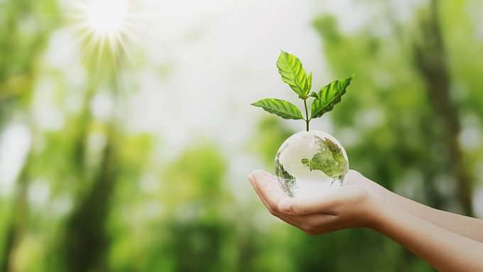 Green banking: cos’è e perché è importante