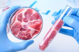 Che cos’è la carne sintetica?