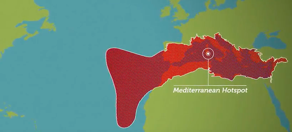 Mediterraneo: hotspot di biodiversità e cambiamento climatico