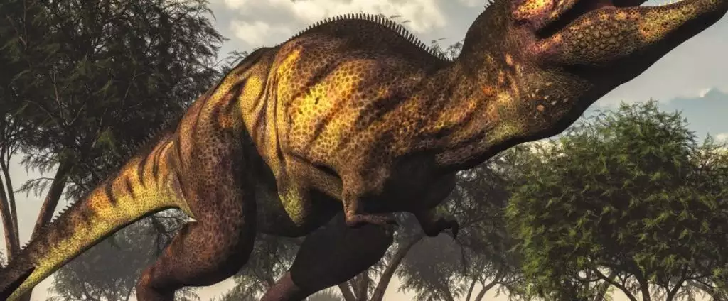 Il T-Rex presto potrebbe venire diviso in tre specie?