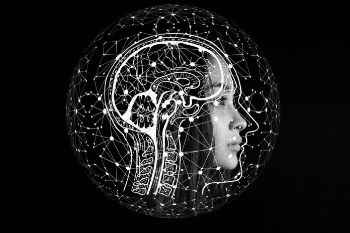 Abbiamo scoperto come il cervello crea, immagazzina e recupera i ricordi Abbiamo scoperto come il cervello crea, immagazzina e recupera i ricordi
