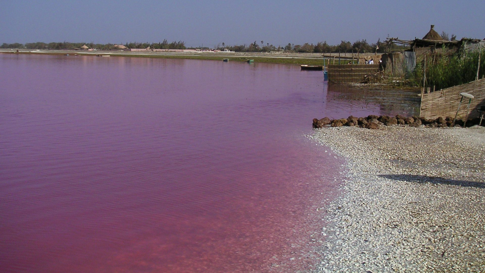 Perché il Lago Retba in Senegal è rosa?