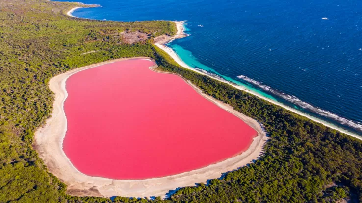 Esiste un lago rosa, unico al mondo: a cosa deve il suo colore