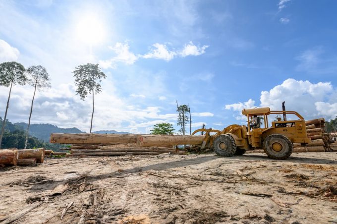 Land grabbing: il furto della terra a opera del Nord del mondo