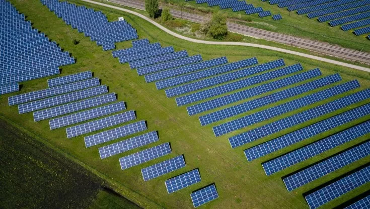 Le rinnovabili non sono nemiche della biodiversità, lo spiega uno studio Le rinnovabili non sono nemiche della biodiversità, lo spiega uno studio