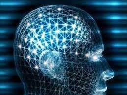 La storia di una donna che vive senza una parte di cervello La storia di una donna che vive senza una parte di cervello