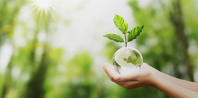 Green jobs: come cambia il mondo del lavoro? Green jobs: come cambia il mondo del lavoro?