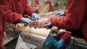 Troppi scandali alimentari negli ultimi tempi: cosa sta succedendo? Troppi scandali alimentari negli ultimi tempi: cosa sta succedendo?